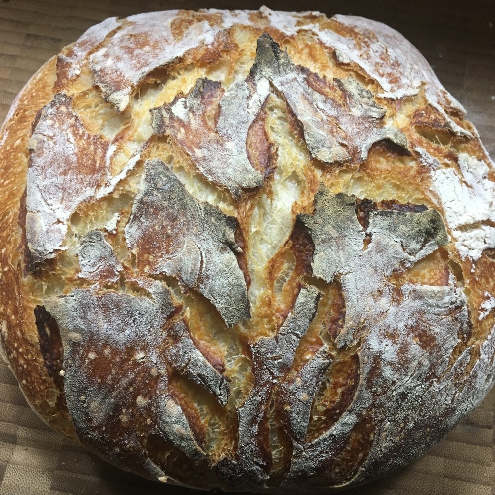 Meet your Posher, Pam